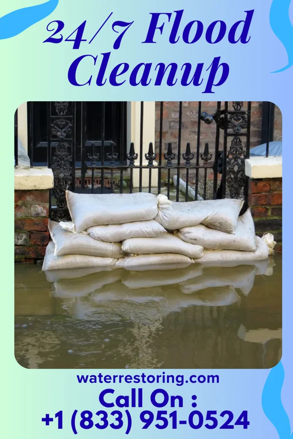 24/7 Flood Cleanup in Nokomis, IL