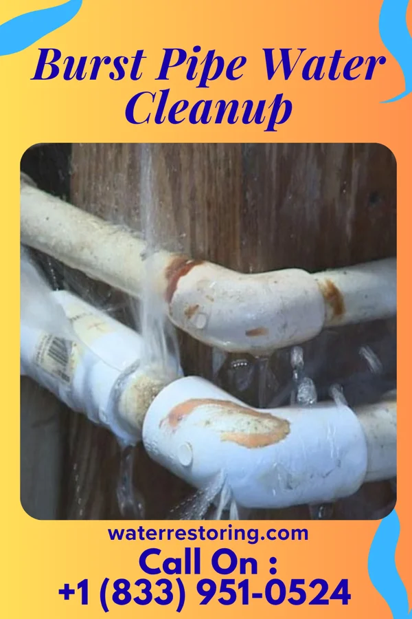 Burst Pipe Water Cleanup in Nokomis, IL