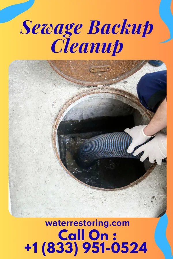 Sewage Backup Cleanup in Nokomis, IL