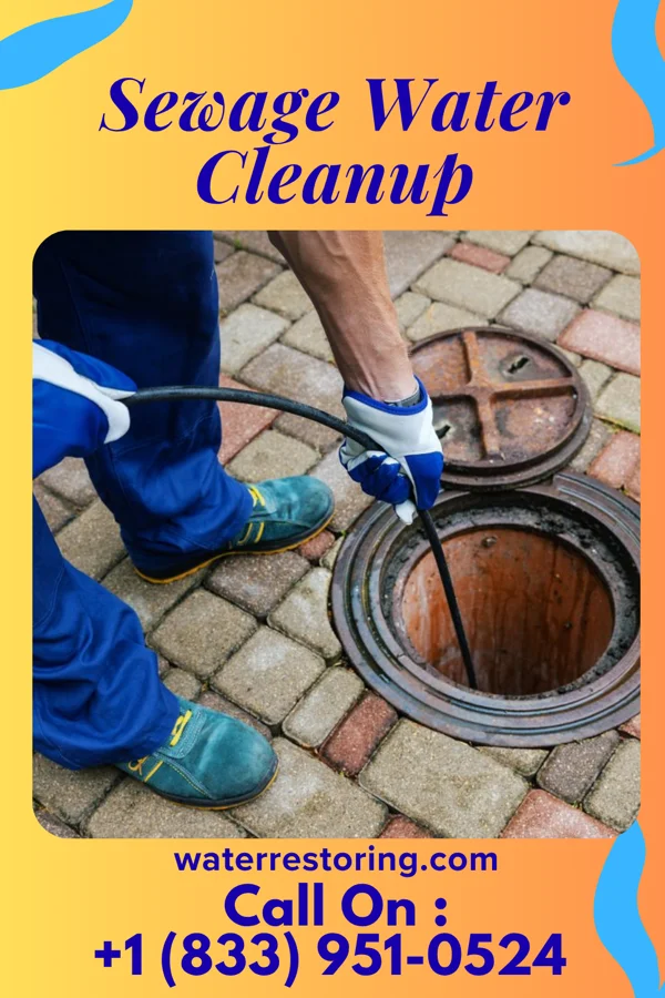 Sewage Water Cleanup in Nokomis, IL