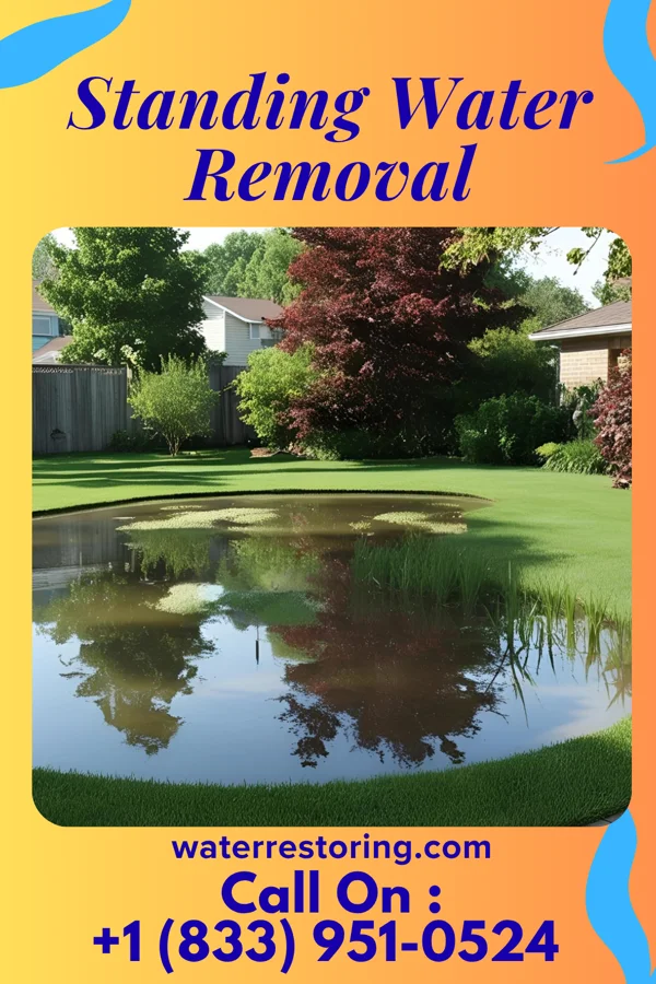 Standing Water Removal in Nokomis, IL